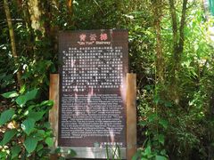 -云南屏边大围山国家公园