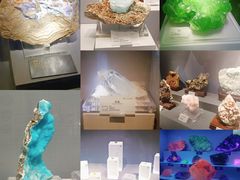 -湖南省地质博物馆