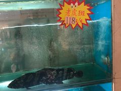 水产区-亚丁湾海鲜大酒店(万泉嘉苑店)