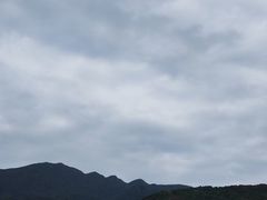 -杨梅坑