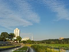 -月湖风景区