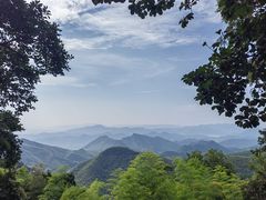 -莫干山风景区