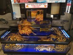 -蟹道乐(道顿堀本店)