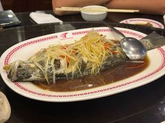 -中国城银都鱼翅酒楼