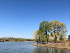 -东郊湿地公园