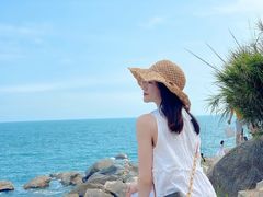-广东惠东海龟国家级自然保护区