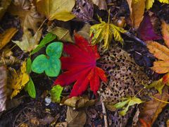 -丹东天桥沟景区