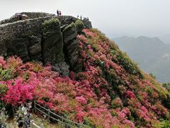 -木兰云雾山