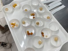 -家乐福会员店(南翔店)