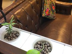 -望京一号·重庆江湖菜(工体店)