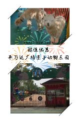 -萌宠亲子动物乐园(槐房万达店)