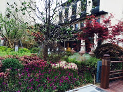 iphone_upload_pic-上海崇明金茂凯悦酒店