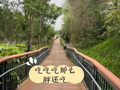 -金山公园