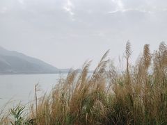 -羚羊峡古栈道森林公园