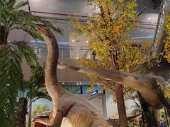 -湖南省地质博物馆