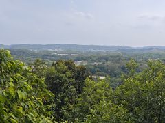 -南宁良凤江国家森林公园