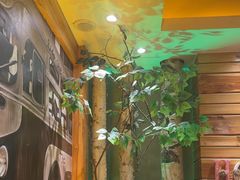 -河坝烧烤串城(金达莱店)