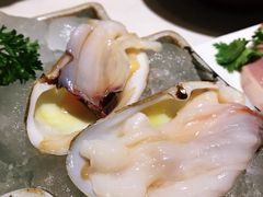 小象鼻蚌-围炉夜话·潮汕卤水火锅(榕江店)