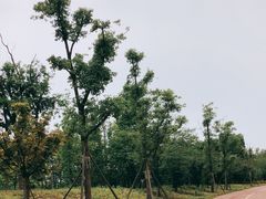 -白鹭湾湿地公园