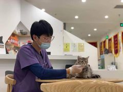 -萌兽医馆·眼科·异宠专科(三里屯店)