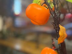 -东土食研所(渔港路店)