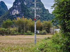 -明仕田园