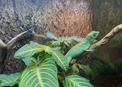 点击看大图 -酷嗒动物文化乐园(cutezoo西溪乐天城店)