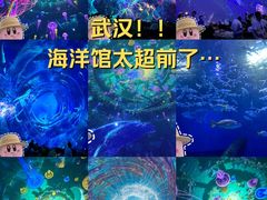 -海合安武汉极地海洋公园