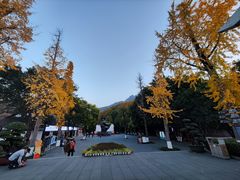-白帝城·瞿塘峡景区