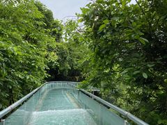 -美联英语(绿宝中心)