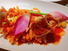 特色松鼠鱼（苏州招牌菜）-姑苏家宴·苏帮菜·松鼠桂鱼(苏州总店)