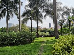-东风公园