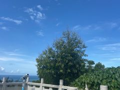 -广东惠东海龟国家级自然保护区
