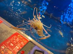 -钳真多钓虾馆·小龙虾海鲜烧烤(九六广场店)