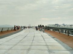 -演武大桥观景平台