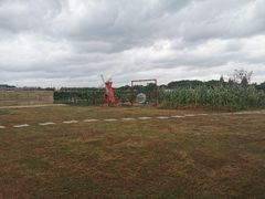 -美家乐农庄·露营·团建(大治路店)