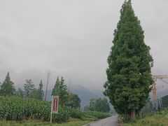 -青城山