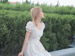 -文成城堡