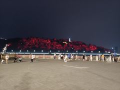 -中国宜宾·长江地标广场