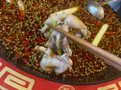 -椒巷子美蛙鱼馆(大都上善谷店)