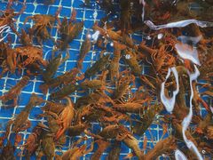 -渔人湾码头海鲜市场负二楼