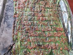 -伊隆斋(什刹海店)