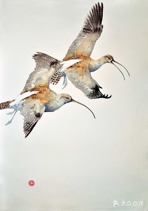 中西结合精美绝伦的鸟儿要冲破画纸向你飞来