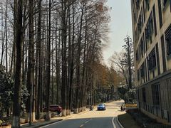 -武汉长江大桥