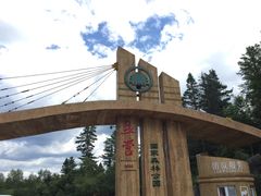 -五营红松林海景区