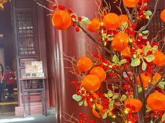 -新加坡佛牙寺龙华院