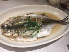 -老人和饭店(淮海中路店)