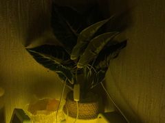-禧瑞 ·丝浴主题·水疗·spa(中山公园店)