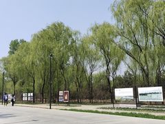 -野鸭湖国家湿地公园