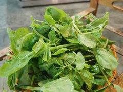-抚仙湖生态石锅鱼野生菌(告庄店)